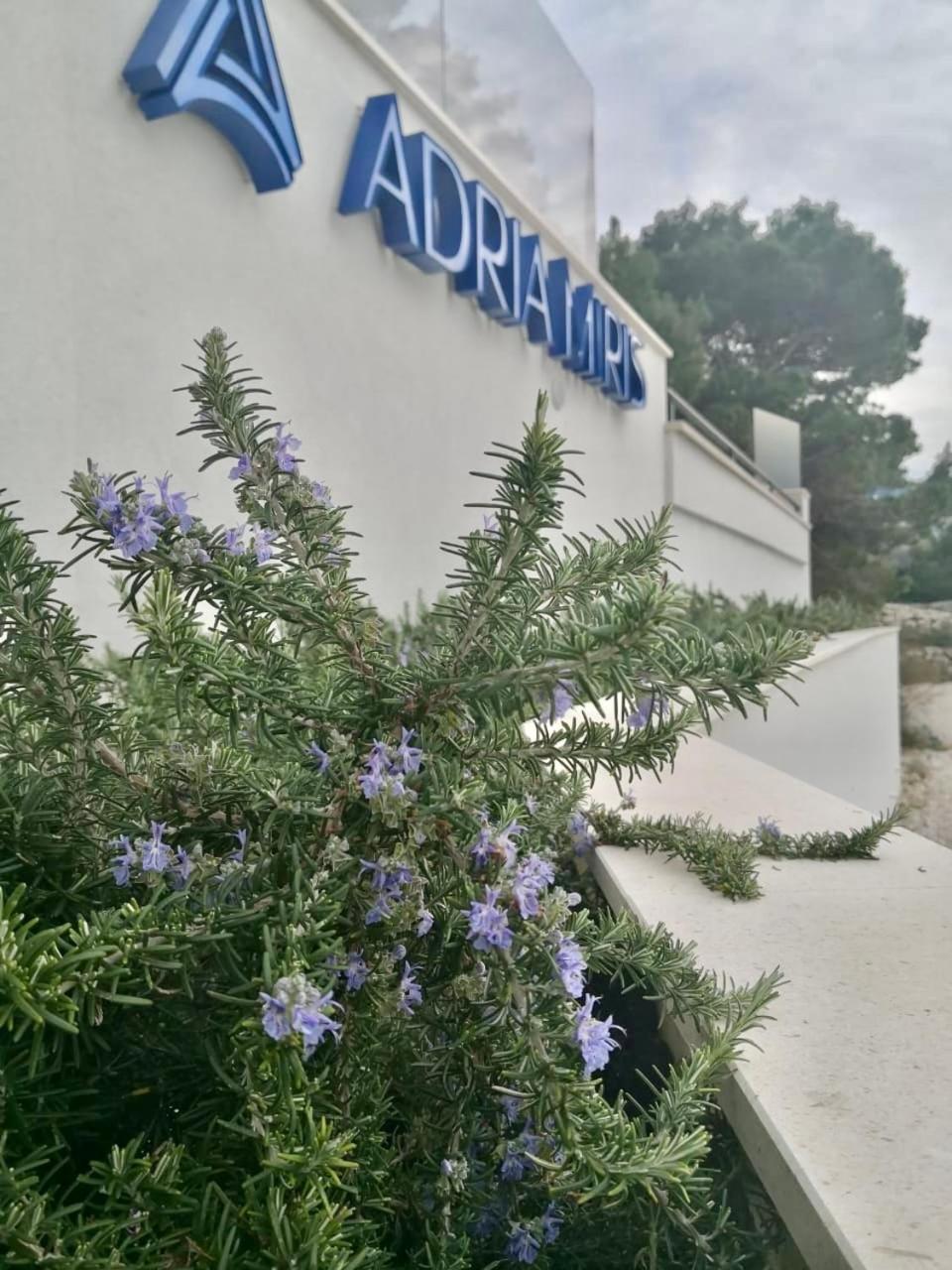 Adria Miris Apartments Drasnice Luaran gambar